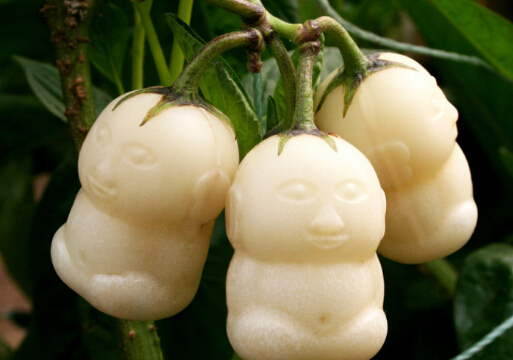 人參果怎么吃最養生?人參果的功效和作用