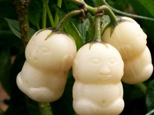 人參果怎么吃最養生？人參果的功效和作用