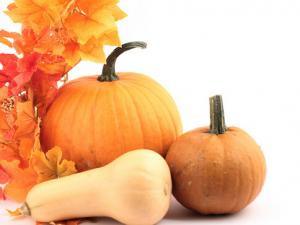 南瓜的營養價值-為什么南瓜是老的好?