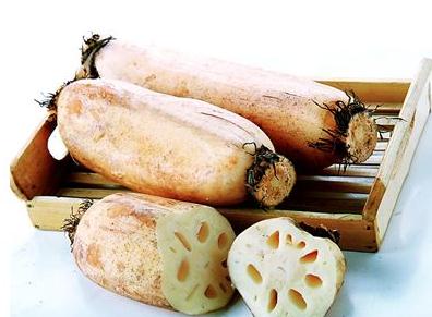 Ů�����ղ���ź-�������ղ��x��