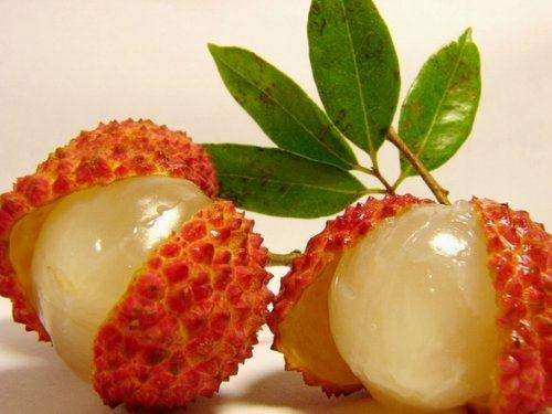 怎樣吃荔枝不上火?吃荔枝上火怎么辦?荔枝的功效與作用