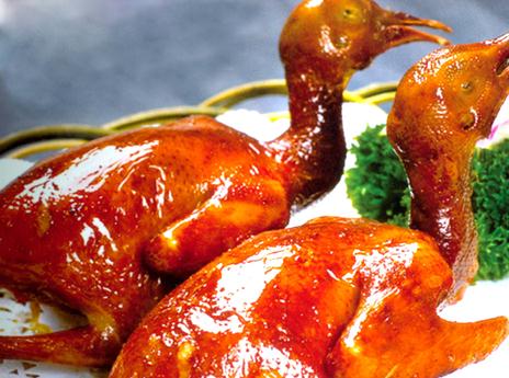 吃鴿子有什么好處?鴿子的營養價值