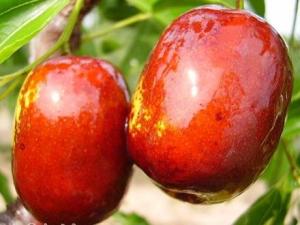 �Լt����ʲô��̎���t���ĠI�B(y��ng)�r(ji��)ֵ