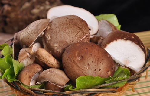 吃香菇有什么好處?香菇的營養價值
