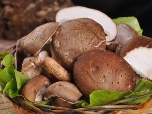 ���㹽��ʲô��̎���㹽�ĠI�B(y��ng)�r(ji��)ֵ