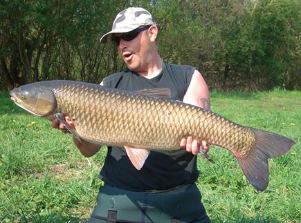 ���~�ĠI�B�rֵ-��Щ�����m�ϳԲ��~