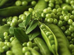 吃青豆有什么好處?青豆的功效與作用,青豆營養(yǎng)價值
