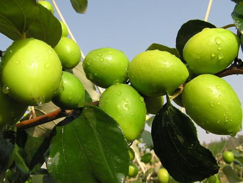 �����ĠI�B�rֵ-�����Ĺ�Ч