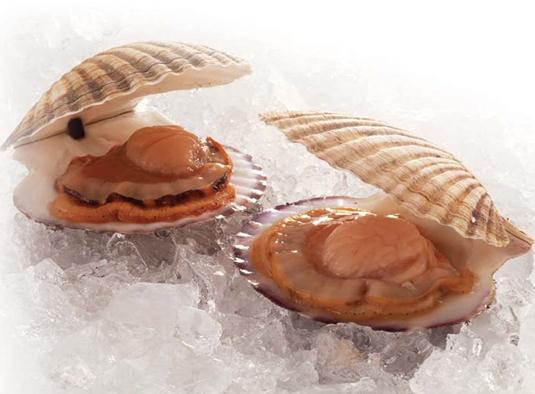 ��ؐ�ĠI(y��ng)�B(y��ng)�r(ji��)ֵ-����ؐ�ĺ�̎