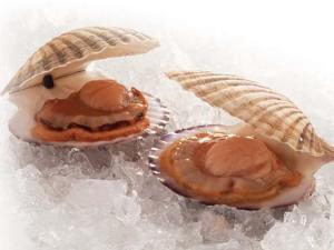 扇貝的營養價值-吃扇貝的好處及功效