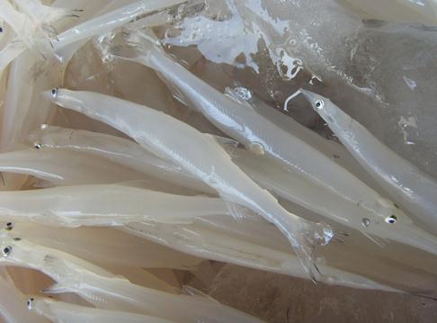 銀魚的營養價值-銀魚怎么吃最好