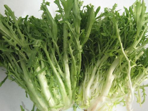 苦菊的營養(yǎng)價值-苦菊有什么功效