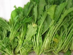 雪里紅的營養價值-雪里紅的食療作用