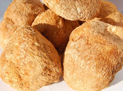 ���^���Ĺ�Ч�c����-���^���ĠI�B�rֵ