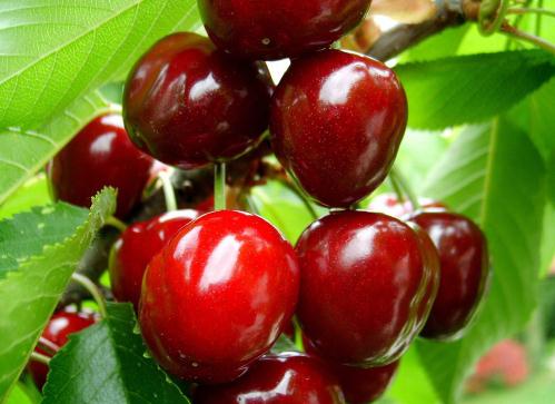 ���ҵĠI�B�rֵ-���ҵĹ�Ч�c����