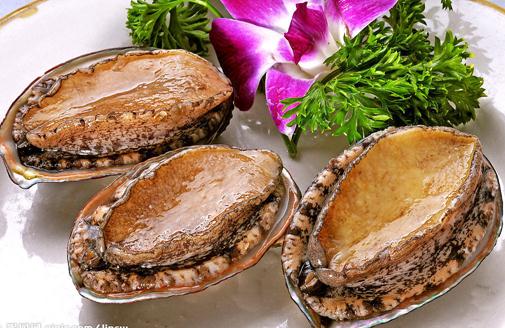 鮑魚的營養價值-鮑魚的功效與作用