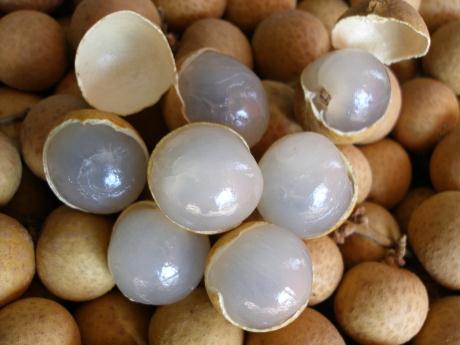 ���۵Ĺ�Ч�c����-���۵ĠI�B�rֵ