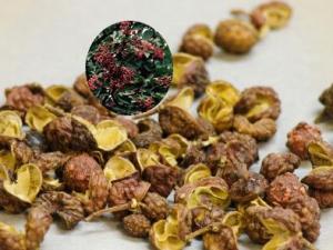 花椒的藥用價(jià)值-花椒能治療哪些病