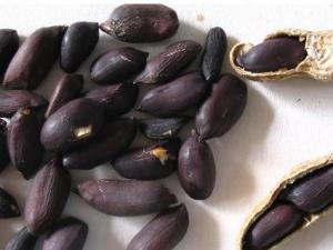 黑花生的營養價值-黑花生怎么吃更有營養