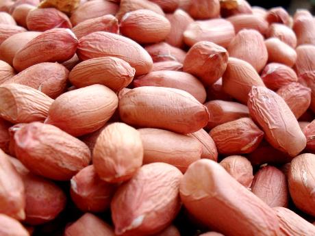 吃花生可以養(yǎng)肝護(hù)肝嗎?吃花生的好處