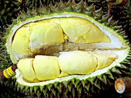 吃榴蓮可以緩解痛經(jīng)嗎?榴蓮的功效與作用