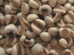 吃薏米有什么好處？薏米的功效與作用及食用方法