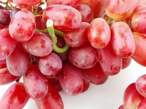 吃提子有什么好處？吃提子上火嗎？提子的功效與作用