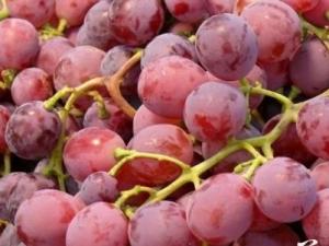 吃提子有什么好處？提子的功效與食用作用