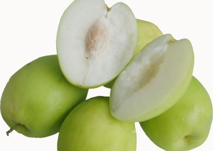 ��������ʲô��̎�������Ĺ�Ч�c����