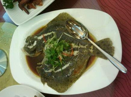 蒲魚的功效與作用,蒲魚的營養價值分析