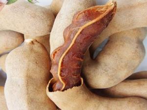 吃酸豆有什么好處?酸豆的營養功效與作用