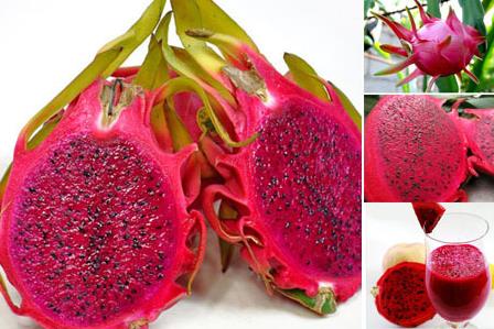 �������ĠI(y��ng)�B(y��ng)�r(ji��)ֵ����Ч�c���á�ʳ�ý���