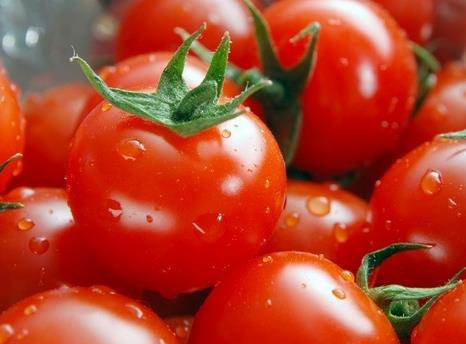 ʥŮ�����D����᣿ʥŮ���ĠI�B�rֵ����Ч�c���á�ʳ�ý���