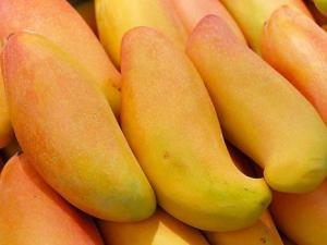 芒果的營養價值、功效與作用、食用禁忌