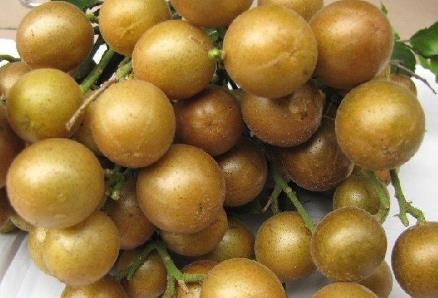 �SƤ���ĠI�B�rֵ-�SƤ���Ĺ�Ч�c����