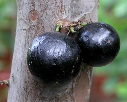 �Ό����ĠI�B�rֵ-�Ό����Ĺ�Ч�c����