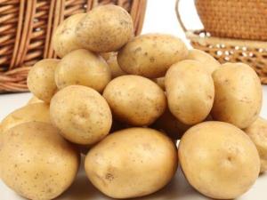 土豆的營養價值-土豆的功效與作用