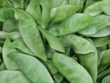 �Աⶹ�Æ᣿�ⶹ�ĠI�B�rֵ-�ⶹ�Ĺ�Ч�c����