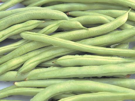 豆角的營養(yǎng)價(jià)值-豆角的功效與作用