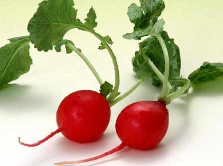 紅蘿卜的營養(yǎng)價值-紅蘿卜的功效與作用