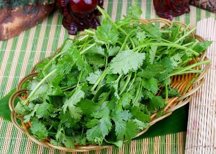 香菜怎么吃?香菜的營(yíng)養(yǎng)價(jià)值、功效與作用