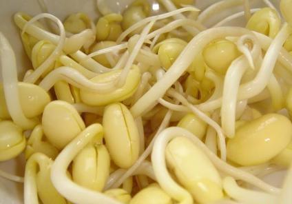 吃黃豆芽好嗎?黃豆芽的營養價值、功效與作用