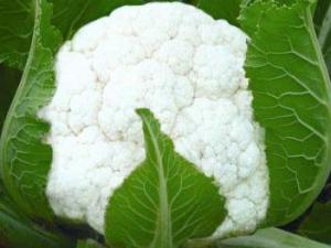 吃花菜有什么好處？花菜的營養價值及功效