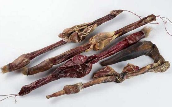 鹿鞭的功效與作用-鹿鞭泡酒的方法