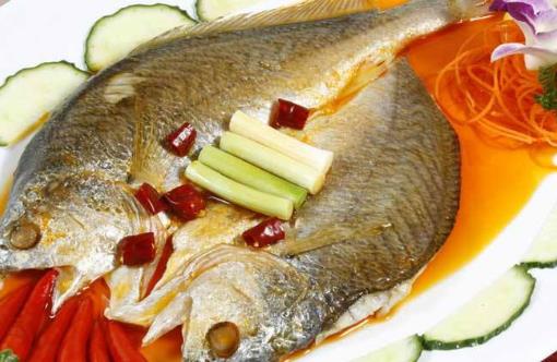 什么魚的營養(yǎng)價值最高?6種最常見魚營養(yǎng)分析