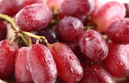 提子的營養(yǎng)價值 提子的功效與作用 提子皮的功效與作用