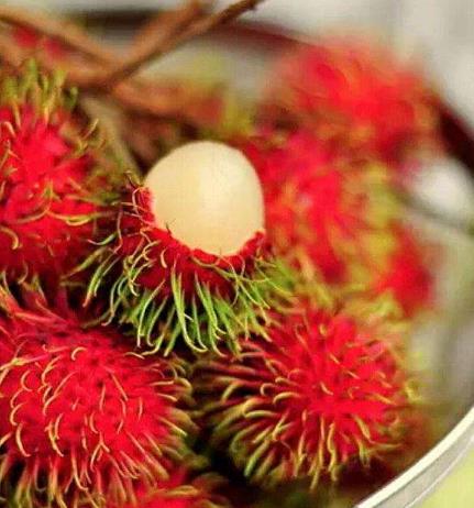 紅毛丹怎么吃?紅毛丹的功效與作用