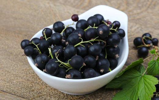 食用黑加侖的注意事項-黑加侖的功效與作用