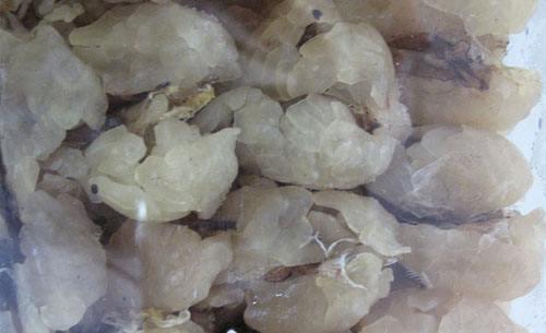 中國林蛙(雪蛤)的功效與作用 林蛙油的功效與作用及食用方法