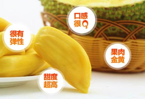 菠蘿蜜的營養(yǎng)價值 菠蘿蜜圖片 菠蘿蜜的核怎么吃